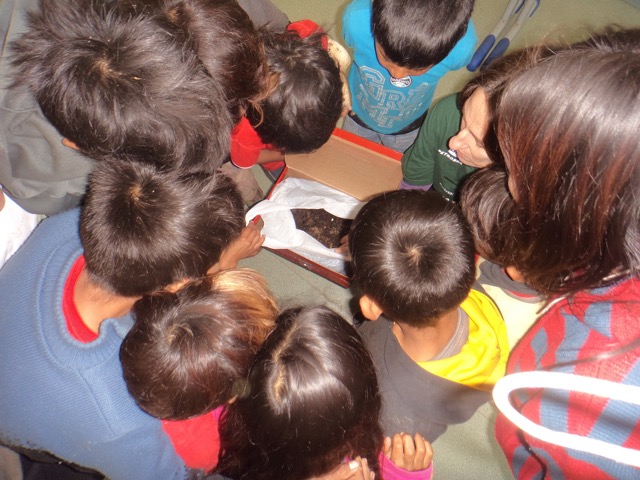 Atividades de educação ambiental para crianças da Escola de Anhetenguá