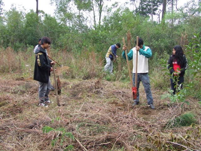 Escola guarani e IECAM trabalham juntos na limpeza da aldeia